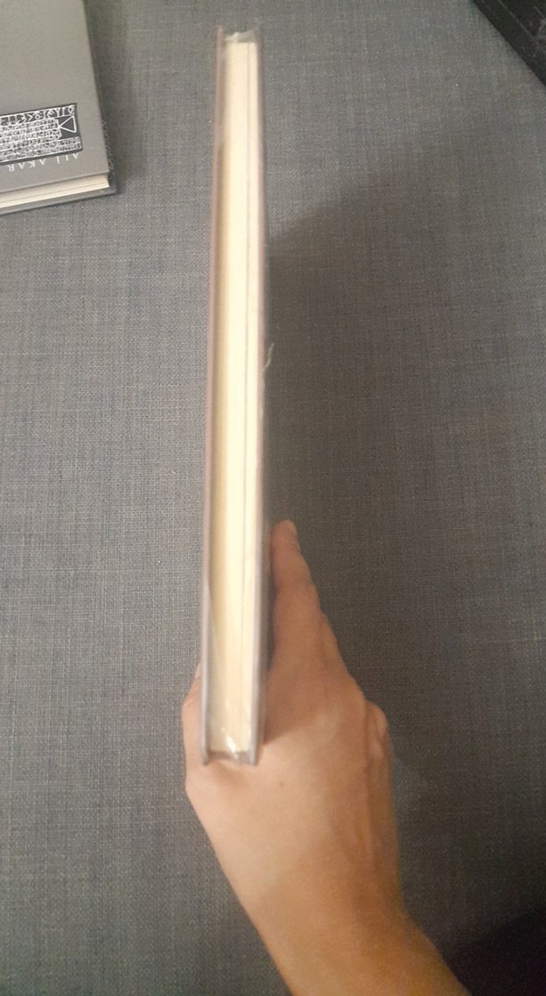 Kül Tigin Yazıtı - Ali Akar - Görsel 2