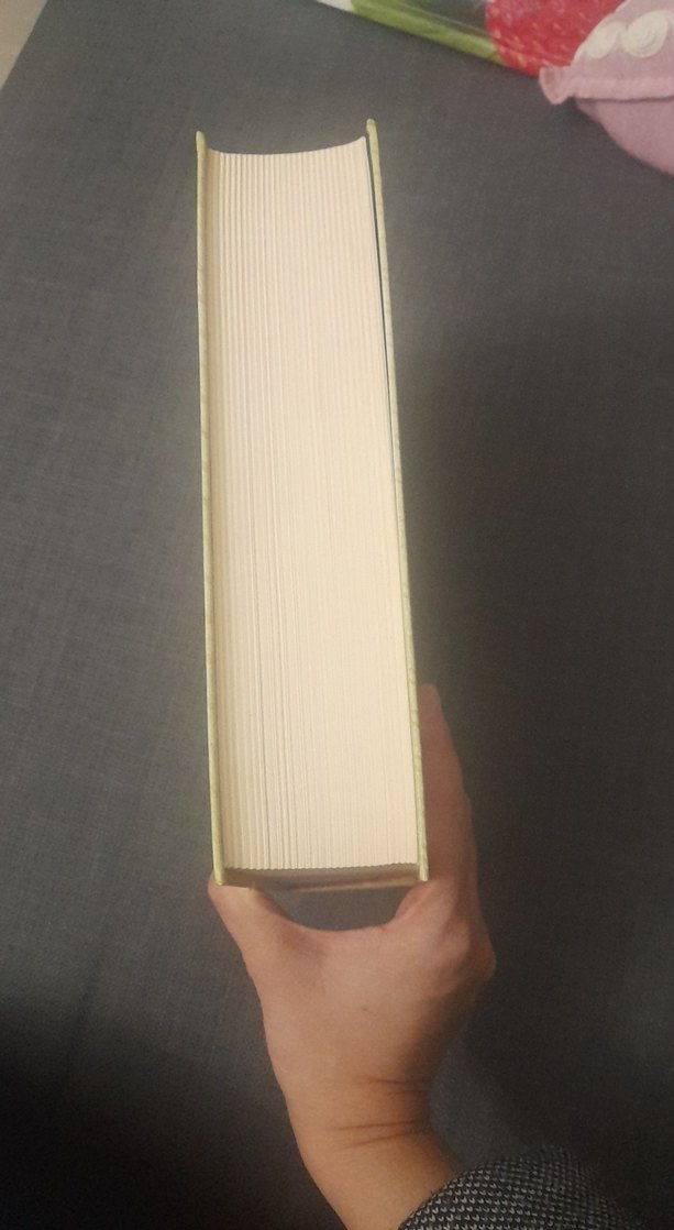 Prof. Dr. İskender Öksüz Toplu Eserler Kitabı - Görsel 3