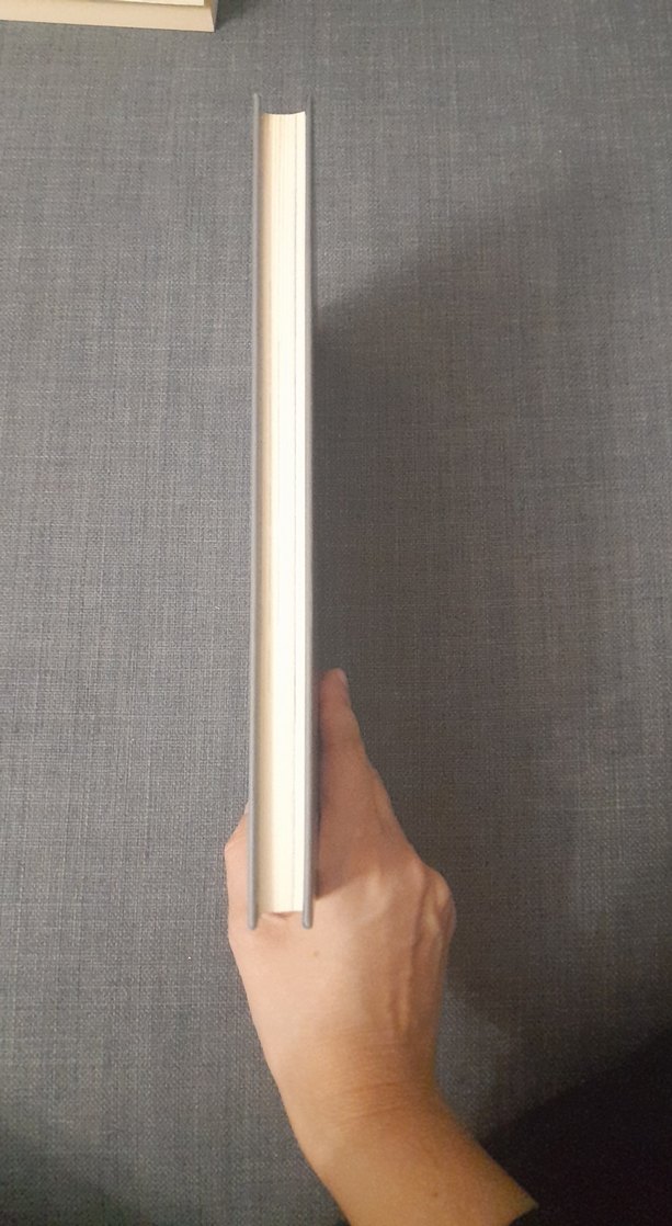 Bilge Tonyukuk Yazıtı Kitabı - Görsel 2