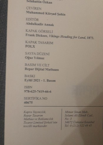 Ragnar Lodbrok'un Sagası - Görsel 7