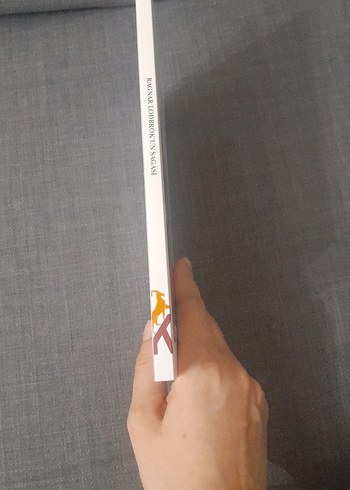 Ragnar Lodbrok'un Sagası - Görsel 4