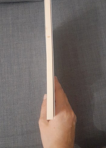 Ragnar Lodbrok'un Sagası - Görsel 2