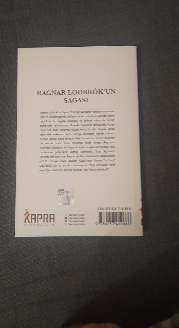 Ragnar Lodbrok'un Sagası - Görsel 3
