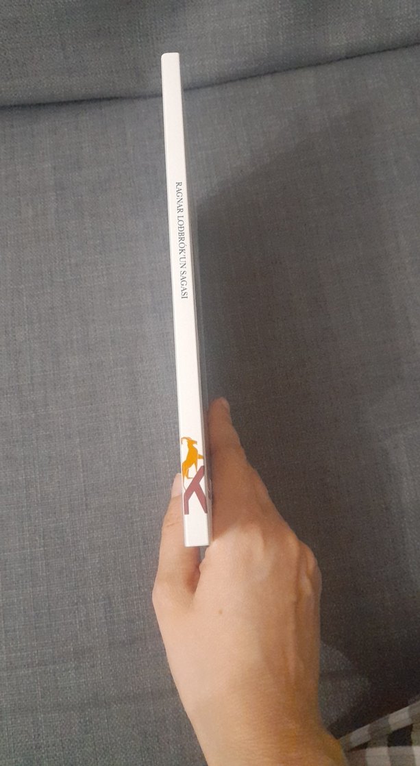 Ragnar Lodbrok'un Sagası - Görsel 4