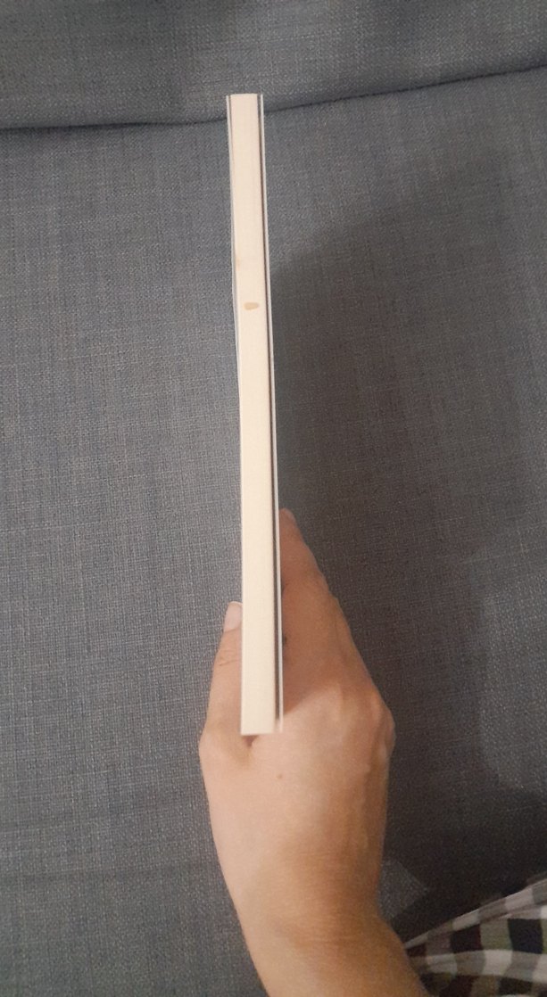 Ragnar Lodbrok'un Sagası - Görsel 2