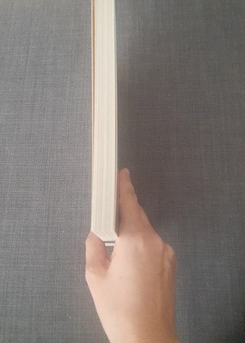 Türk Canavarları Sözlüğü - Ahmet Burak Turan - Görsel 2