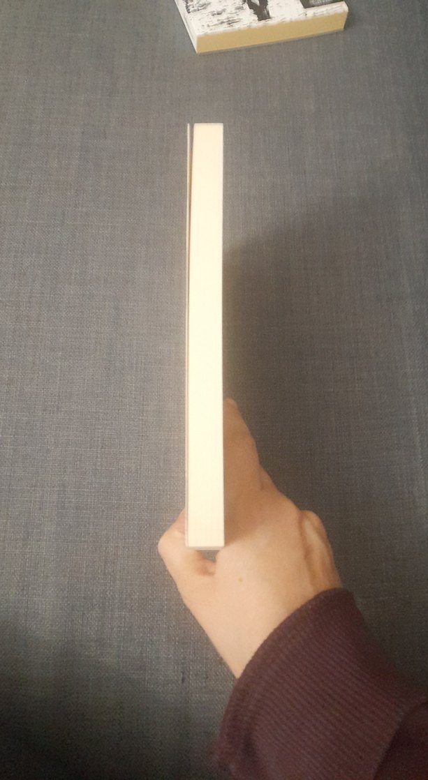 Hikâyeler, Denemeler, Günlükler - Servet Somuncuoğlu - Görsel 4