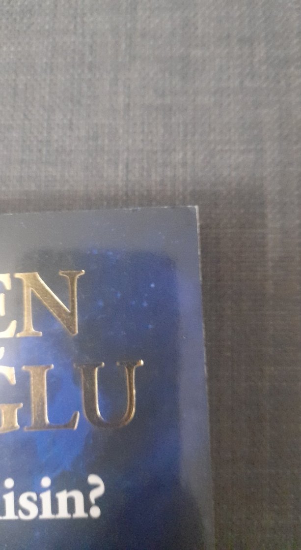 Gülten Dayıoğlu - Yoksa Sen misin? - Görsel 2