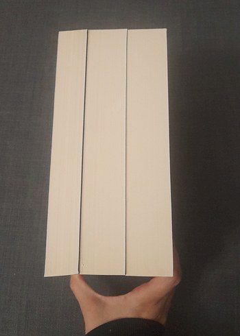 Tek Adam Roman Seti - 3 Cilt - Görsel 9