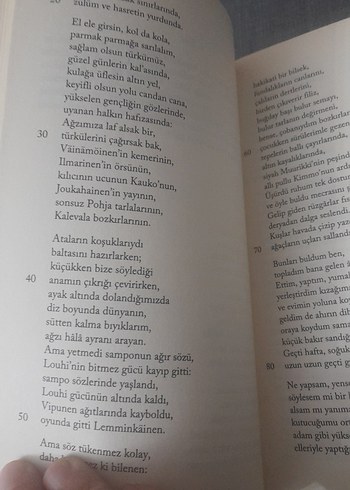 Kalevala - Fin Halk Destanı - Görsel 12