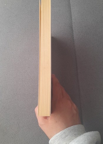 Uçuşur Ege Rüzgarında/Haluk Şahin/Yitik Ülke Y. - Görsel 6