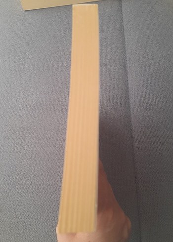 Uçuşur Ege Rüzgarında/Haluk Şahin/Yitik Ülke Y. - Görsel 8