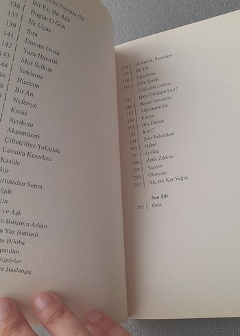 Uçuşur Ege Rüzgarında/Haluk Şahin/Yitik Ülke Y. - Görsel 10