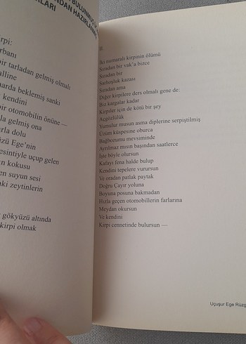 Uçuşur Ege Rüzgarında/Haluk Şahin/Yitik Ülke Y. - Görsel 12