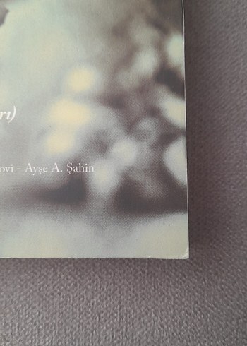 Büyüyor Üzümler Bağlarda - Haluk Şahin - Görsel 2