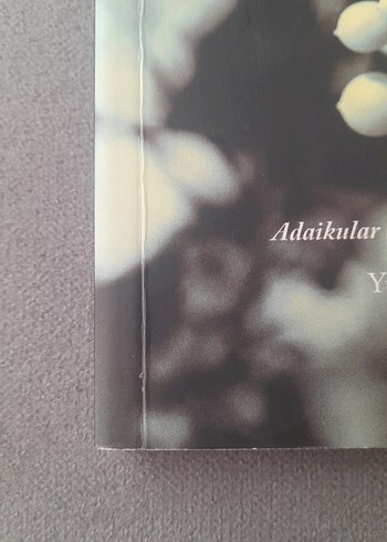 Büyüyor Üzümler Bağlarda - Haluk Şahin - Görsel 3