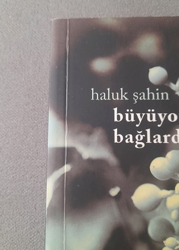 Büyüyor Üzümler Bağlarda - Haluk Şahin - Görsel 4