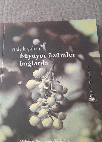 Büyüyor Üzümler Bağlarda - Haluk Şahin - Görsel 5
