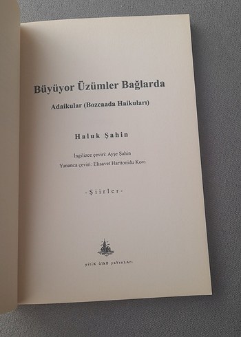 Büyüyor Üzümler Bağlarda - Haluk Şahin - Görsel 15