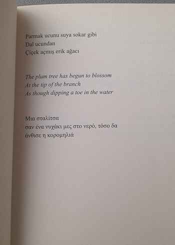 Büyüyor Üzümler Bağlarda - Haluk Şahin - Görsel 16