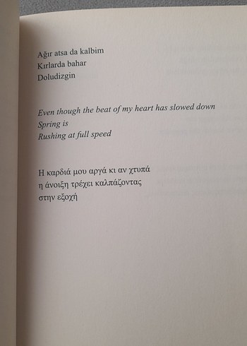 Büyüyor Üzümler Bağlarda - Haluk Şahin - Görsel 17