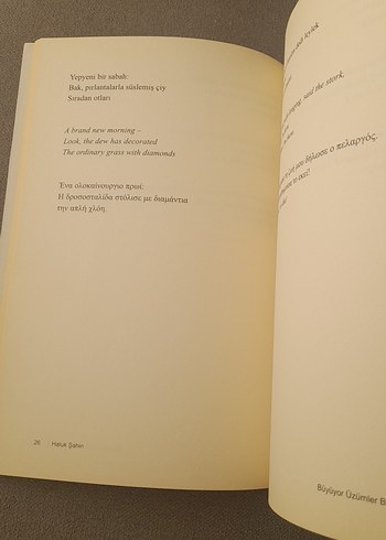 Büyüyor Üzümler Bağlarda - Haluk Şahin - Görsel 18