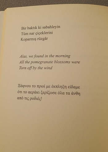 Büyüyor Üzümler Bağlarda - Haluk Şahin - Görsel 19