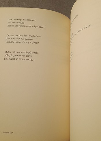 Büyüyor Üzümler Bağlarda - Haluk Şahin - Görsel 20