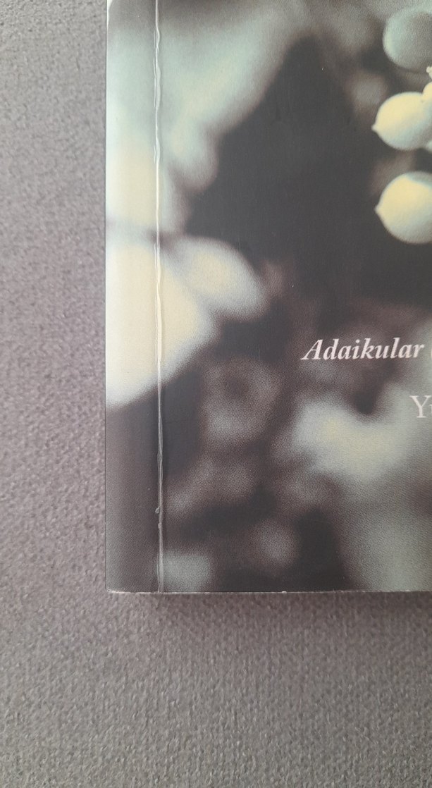 Büyüyor Üzümler Bağlarda - Haluk Şahin - Görsel 3