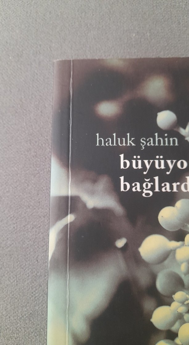 Büyüyor Üzümler Bağlarda - Haluk Şahin - Görsel 4