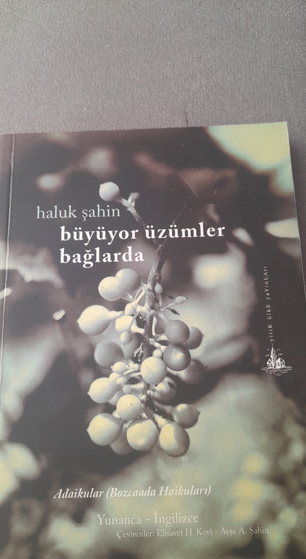 Büyüyor Üzümler Bağlarda - Haluk Şahin - Görsel 5