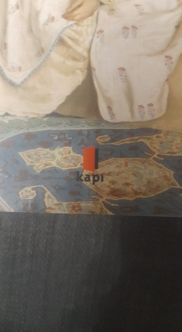 Müsameretname - Emin Nihad Bey - Görsel 2