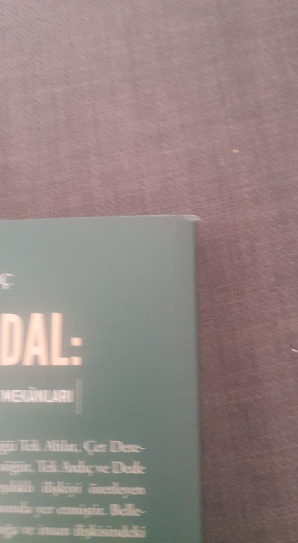 Kemik ve Dal: Eskişehir'de Kutsal Ziyaret Mekanları - Görsel 5