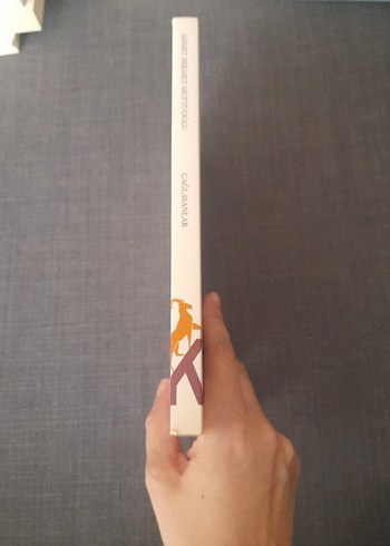 Çağlayanlar - Ahmet Hikmet Müftüoğlu - Görsel 4