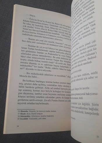 Çağlayanlar - Ahmet Hikmet Müftüoğlu - Görsel 8