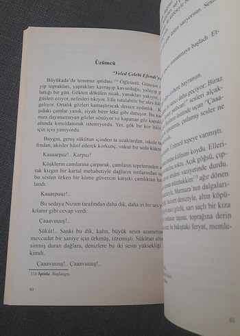 Çağlayanlar - Ahmet Hikmet Müftüoğlu - Görsel 10