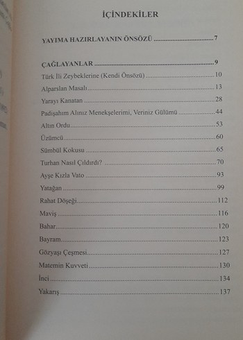 Çağlayanlar - Ahmet Hikmet Müftüoğlu - Görsel 11