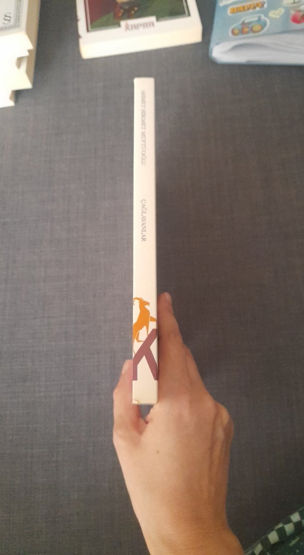 Çağlayanlar - Ahmet Hikmet Müftüoğlu - Görsel 4