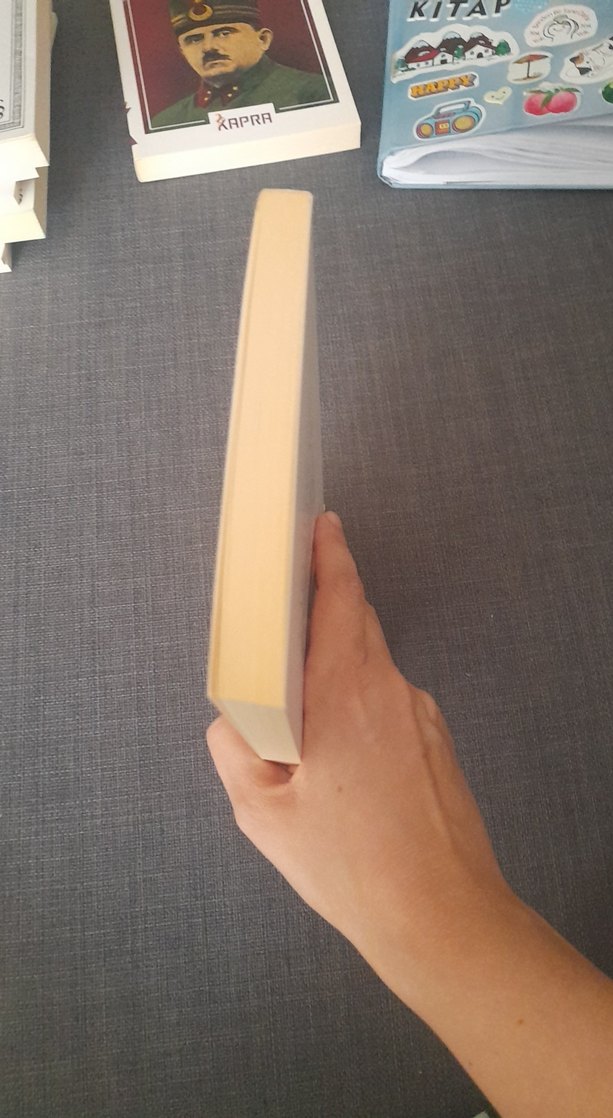 Çağlayanlar - Ahmet Hikmet Müftüoğlu - Görsel 5