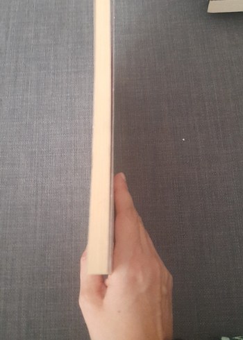 Maceraperest Turan Sözlüğü Kitabı - Sabri Gürses - Görsel 6