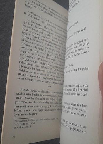 Meyhanede Kadınlar - Hüseyin Rahmi Gürpınar - Görsel 12