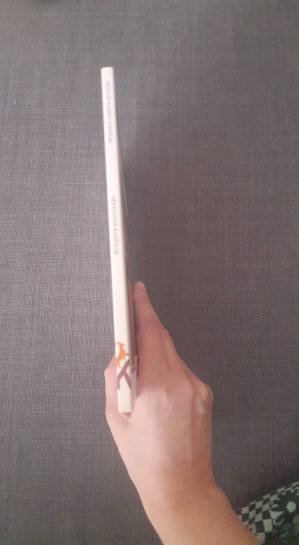 Meyhanede Kadınlar - Hüseyin Rahmi Gürpınar - Görsel 3