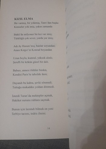 Kızıl Elma - Ziya Gökalp Romanı - Görsel 9