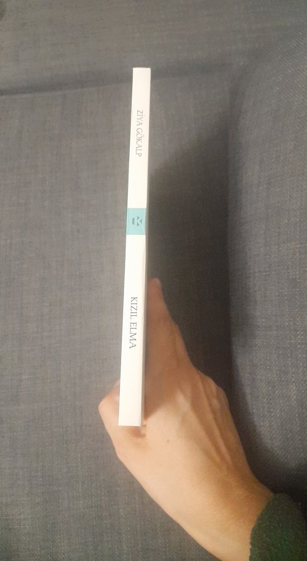 Kızıl Elma - Ziya Gökalp Romanı - Görsel 3