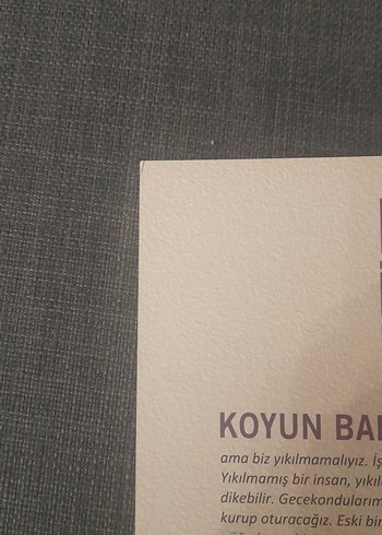 Beden Hasan İzzettin Dinamo - Koyun Baba Romanı