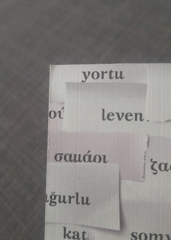 Herkül Millas Türkçe Yunanca Ortak Kelimeler Kitabı - Görsel 20