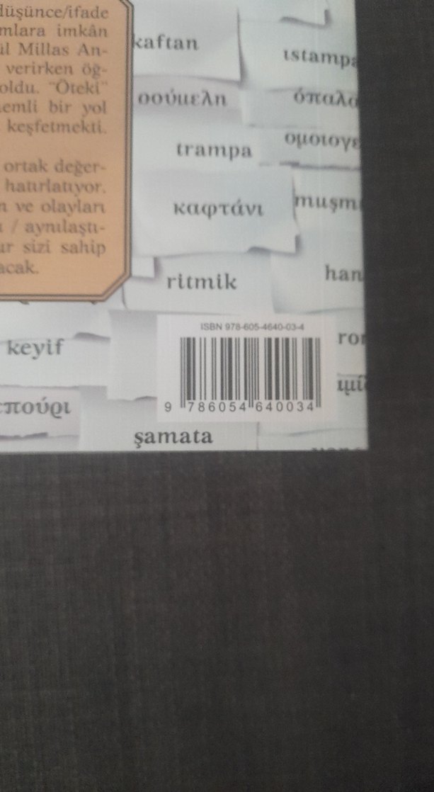 Herkül Millas Türkçe Yunanca Ortak Kelimeler Kitabı - Görsel 4