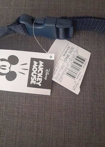 Renkli Baskılı Çocuk Bel Çantası/LC WAKİKİ/DİSNEY - Görsel 5