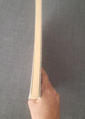 Zengin Kız Hakir Oğlan - Ufuk Artut - Görsel 10