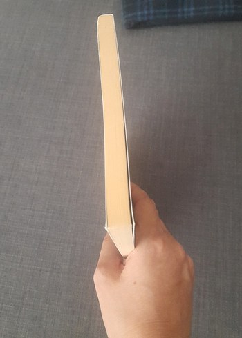 Zengin Kız Hakir Oğlan - Ufuk Artut - Görsel 11